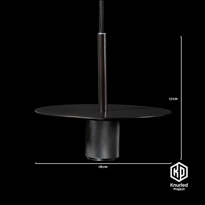 Matte Black Disc Pendant Light + Globe Shade